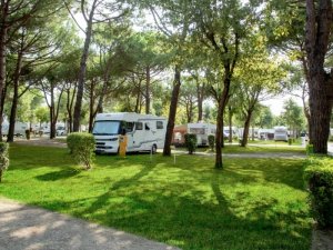 Místo na vlastní karavan nebo obytný vůz - pitch A a B - foto 4