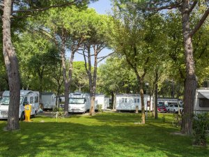 Místo na vlastní karavan nebo obytný vůz - pitch A a B - foto 2
