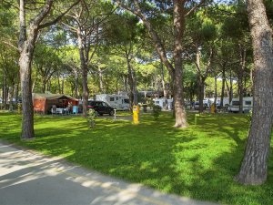 Místo na vlastní karavan nebo obytný vůz - pitch A a B - foto 1