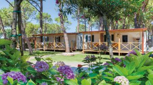 Mobilhome Torcello Plus Gold Holiday pro max. 6 osob - foto 1