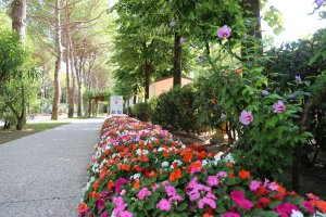Sant´Angelo Village***** - areál, foto 12
