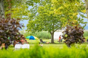 Camping Naturist Berény - areál, foto 9