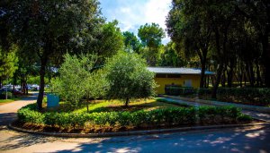 Camping Homes Stoja - areál, foto 5