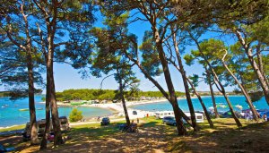 Camping Medulin - areál, foto 3