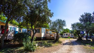 Camping Indije - areál, foto 3
