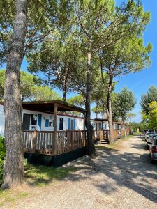 Residence Village***** - areál, foto 5