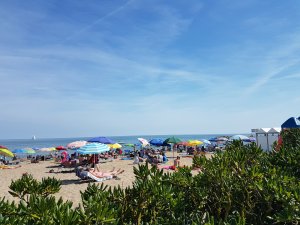 Italy Camping Village**** - areál, foto 7