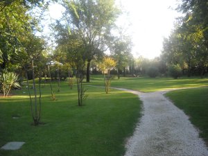 Camping Ca´Savio*** - areál, foto 8